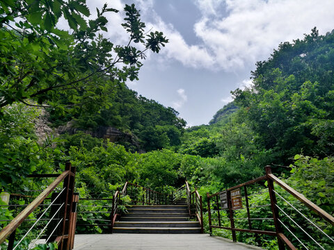 山道阶梯