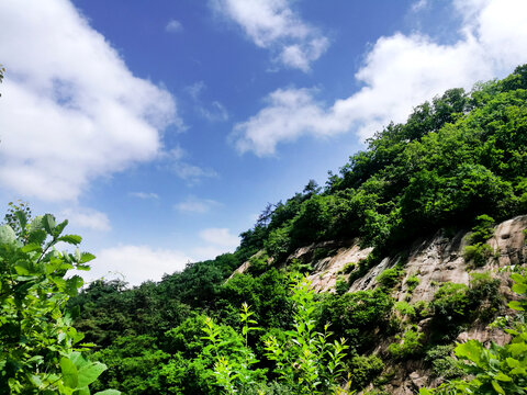 蓝天绿山