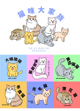 矢量手绘宠物猫咪插画设计