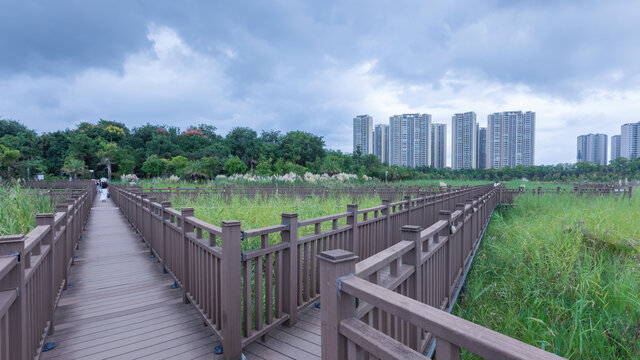 楚雄小桥蓝天白云城市风景