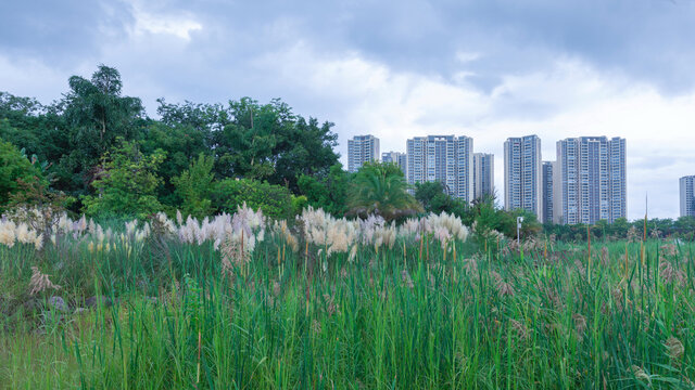 楚雄小桥蓝天白云城市风景