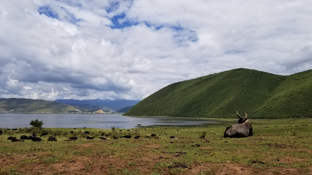 纳帕海