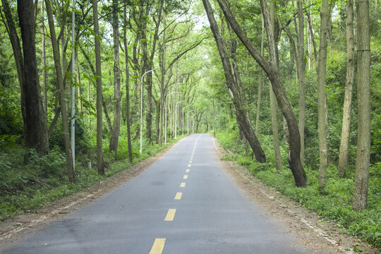 常德河洑森林公园