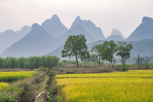 乡村风景