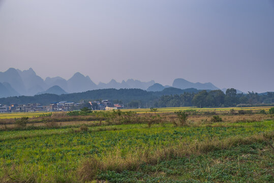 田园风光乡村农村