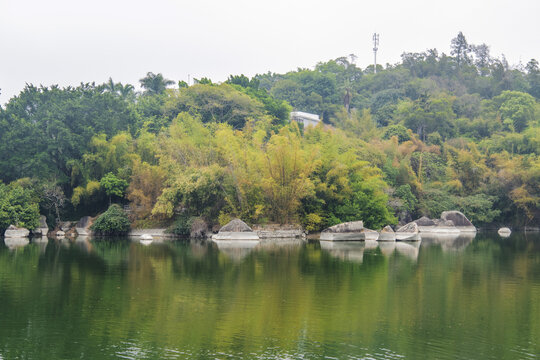 厦门园林植物园万石湖与山林