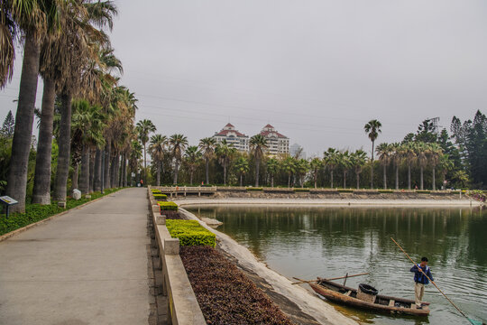 厦门植物园万石湖边的路与树