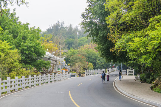 厦门植物园柏油路与树林凉亭