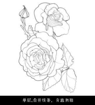 原创玫瑰花线描牡丹花线稿