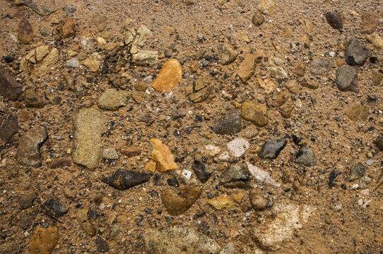 湿润的地表土壤砂石