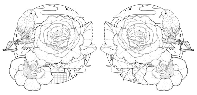 原创牡丹花房子鸟线稿装饰图案