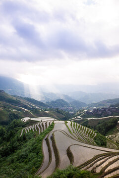 龙胜梯田