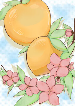 黄桃与桃花