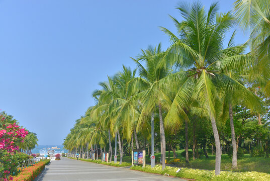 天涯海角景区