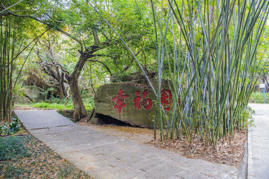 厦门植物园幸福园竹子与树木