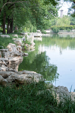 湖边风景