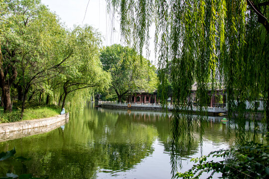 园林风景