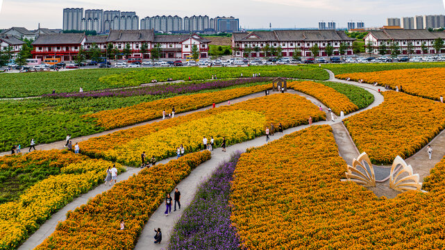 中国长春北湖花海景观