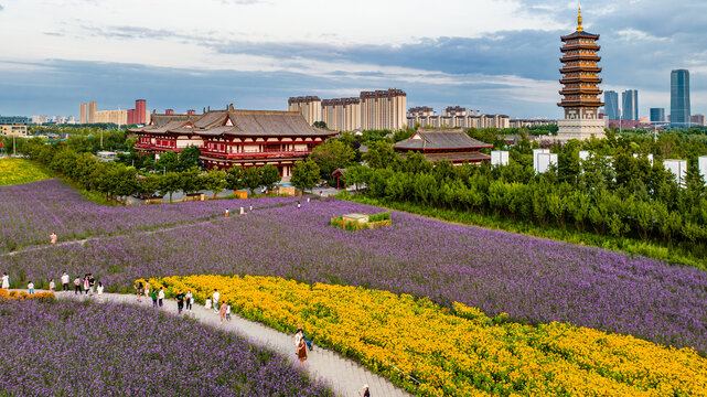 中国长春北湖花海景观