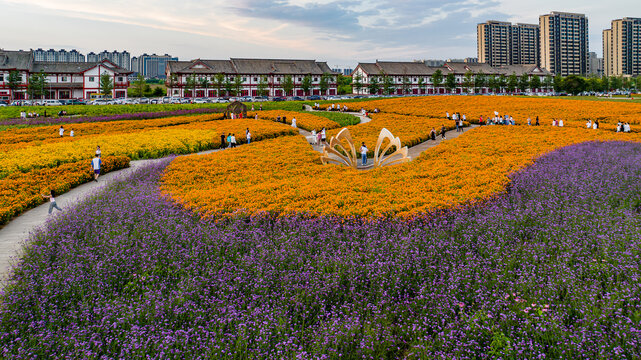 中国长春北湖花海景观