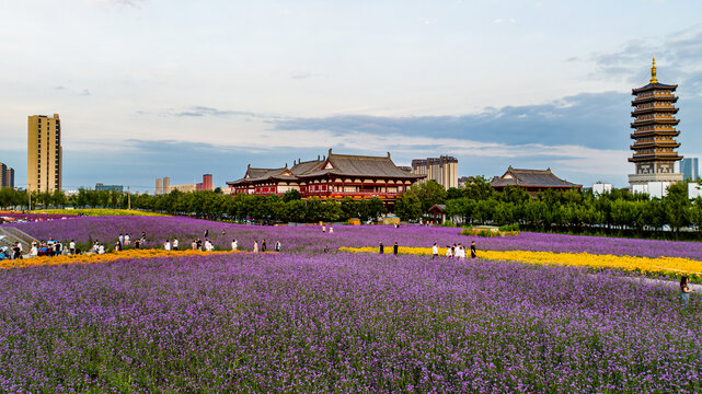 中国长春北湖花海景观