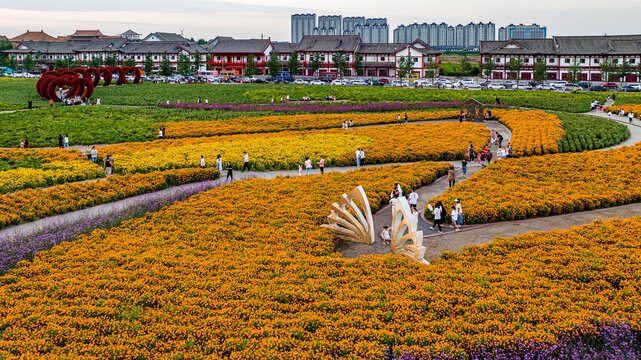 中国长春北湖花海景观