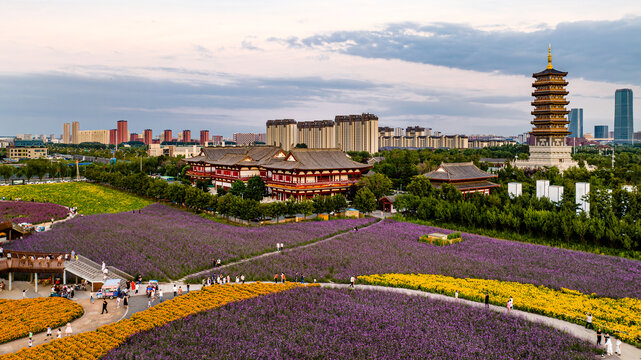 中国长春北湖花海景观