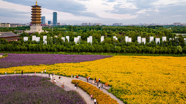 中国长春北湖花海景观