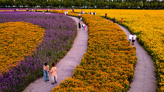 中国长春北湖花海景观