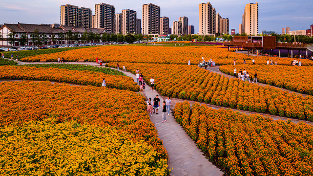 中国长春北湖花海景观