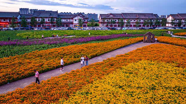 中国长春北湖花海景观