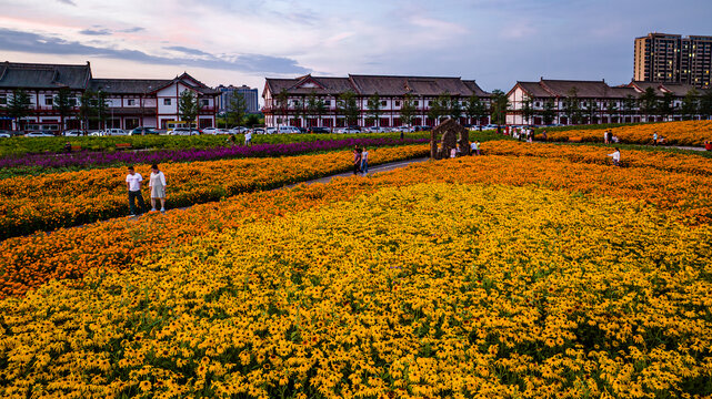 中国长春北湖花海景观