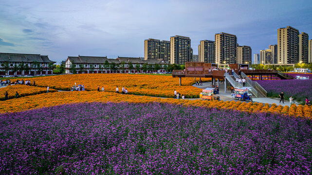 中国长春北湖花海景观