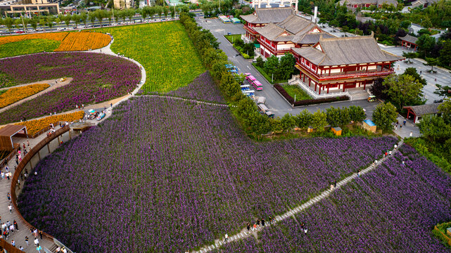 中国长春北湖花海景观