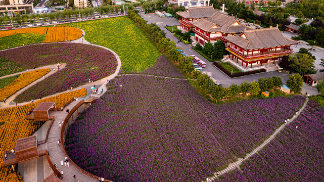 中国长春北湖花海景观