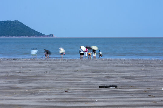 夏日象山柯鱼人海滩