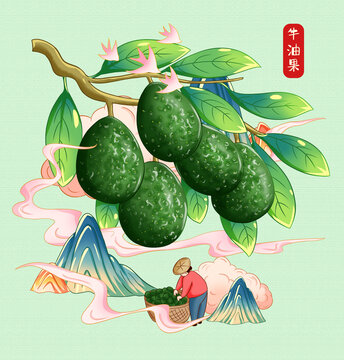 牛油果插画手绘