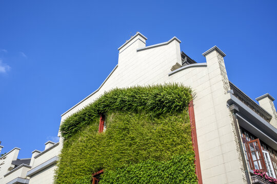 上海石库门老建筑绿植墙