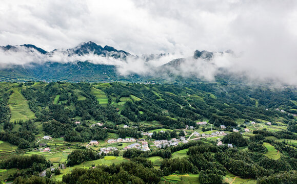 湖北恩施鹤峰木耳山茶园