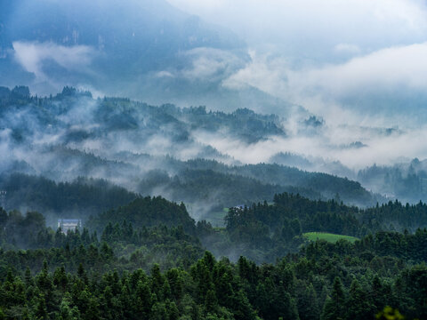 湖北恩施鹤峰木耳山茶园