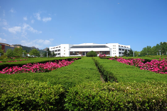 青岛大学图书馆