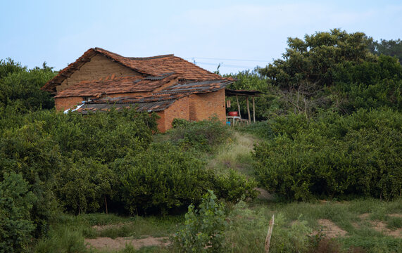 果园小屋