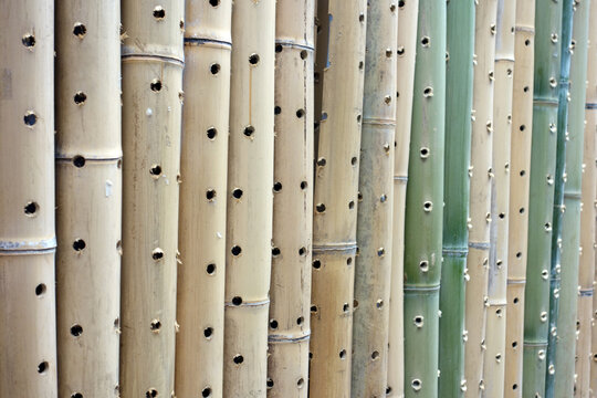 竹子装饰墙