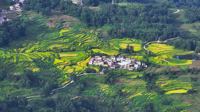 元阳梯田