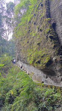 青城山