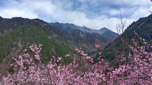 九寨沟