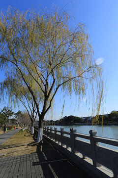 护城河