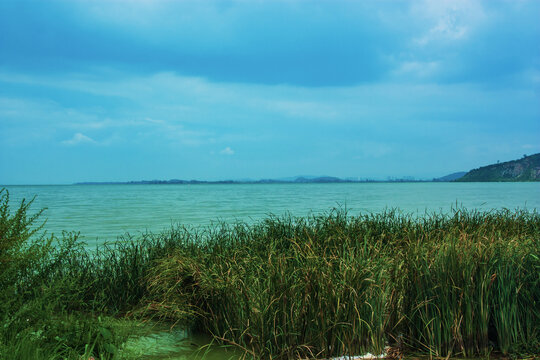 云南昆明滇池湿地