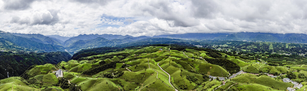 鹤峰木耳山茶场