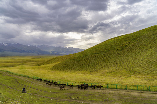 新疆那拉提牧场草原和云空